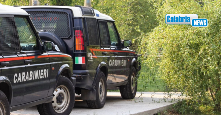 San Luca, pastore finisce in dirupo in Aspromonte: salvato dopo ore di ricerche dai Carabinieri
