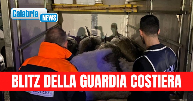 Nel porto di Taureana di Palmi: sequestrati 1000 kg di tonno rosso pescato illegalmente