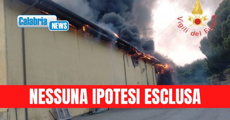 VIDEO-Violento incendio distrugge capannone azienda vitivinicola Odoardi a Nocera Terinese