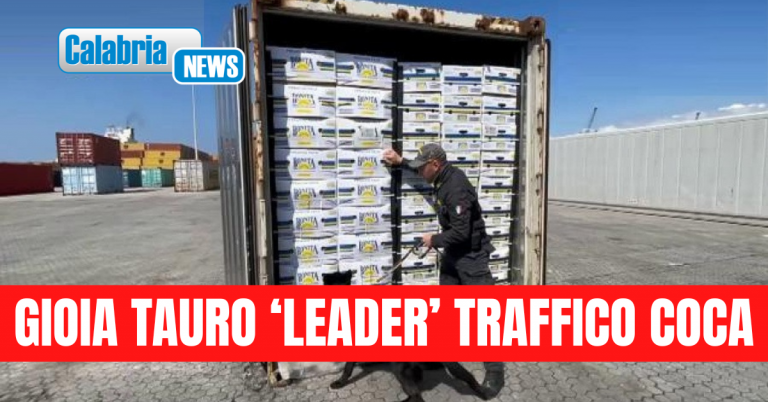 Allarme di ‘Libera’: sono 55 i clan con business illegali e legali in 9 porti Calabria