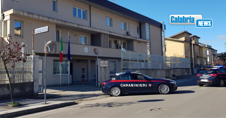Soveria Mannelli, il fiuto di “Marley” sgama armi nascoste in un casolare: arrestato un 58enne