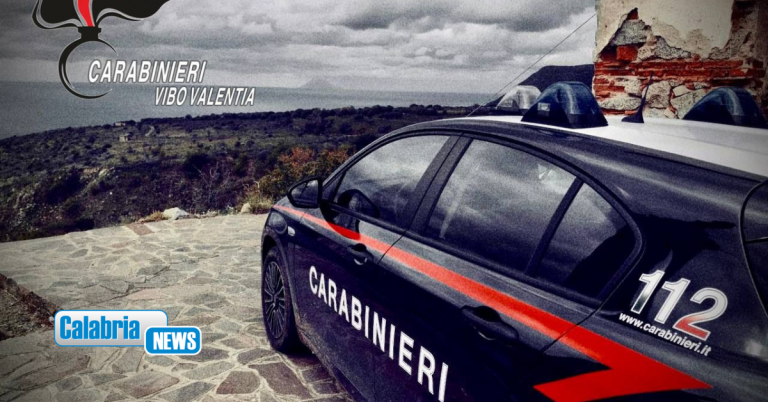 Beccato dai Carabinieri mentre incendiava sterpaglie: denunciato un 68enne nel Vibonese