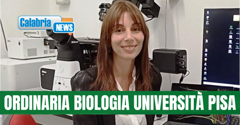 Alla professoressa calabrese Vittoria Raffa l’Advanced Grant del Consiglio Europeo della Ricerca (ERC)