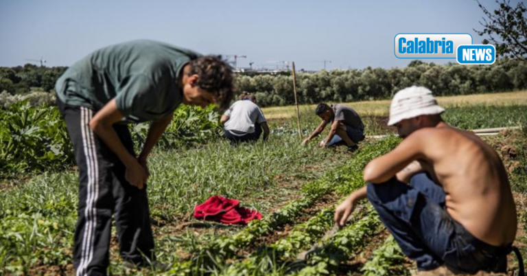 “Stop al lavoro nelle ore di maggior calore”: ecco l’ordinanza del presidente Occhiuto