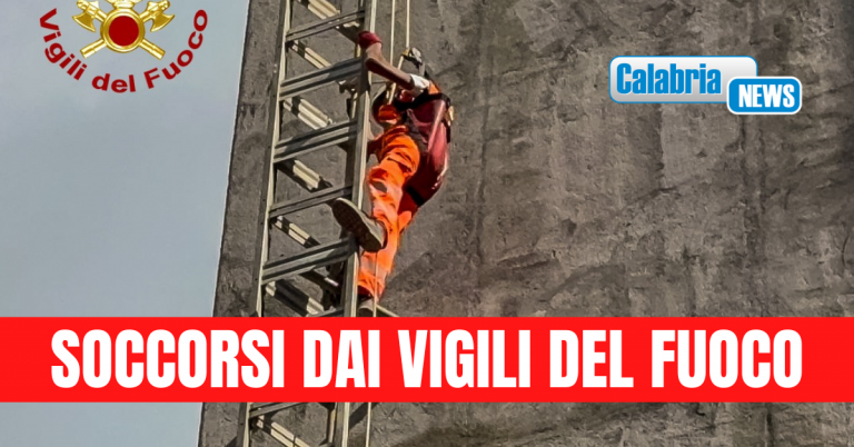 VIDEO-Operai bloccati su piattaforme elevabili mentre lavorano sul Viadotto ‘Friddizza’ dell’A2