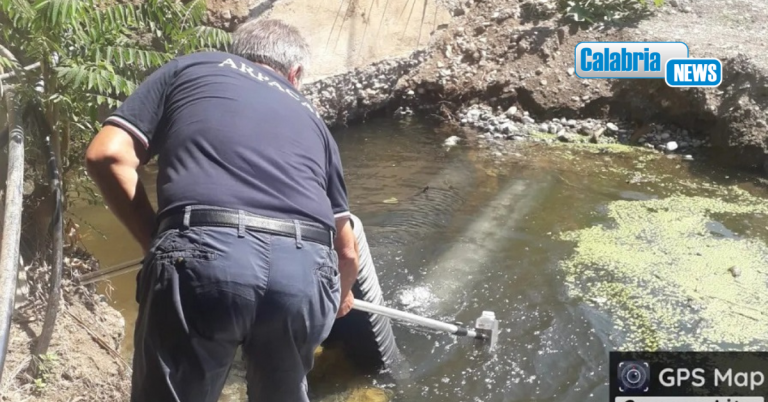 Allarme Arpacal: contaminazione nel fiume Angitola, registrati livelli anomali di escherichia coli