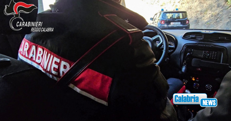 Controlli dei Carabinieri in esercizi commerciali del Reggino: 280 KG di alimenti sequestrati