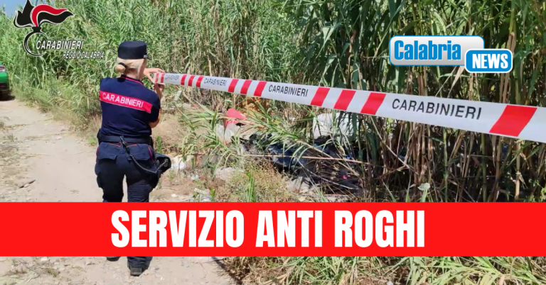 Vasta operazione dei Carabinieri: 21 denunce nella Piana di Gioia Tauro per reati ambientali