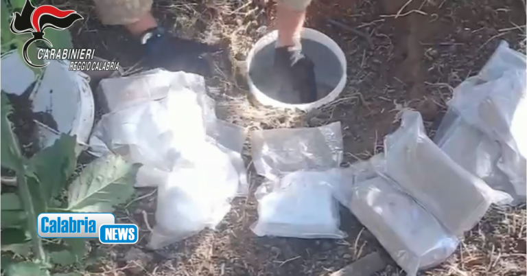 VIDEO-Colpo da 350mila euro al narcotraffico locale: maxi-sequestro di droga sotterrata nel Reggino