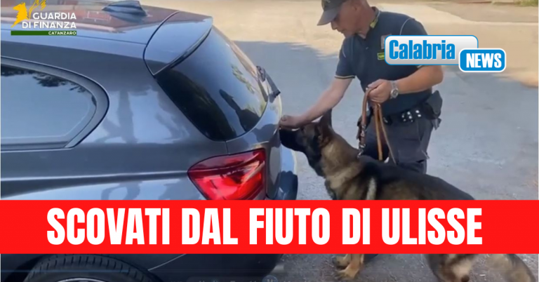 VIDEO-Scoperti 8 chili di marijuana stipati in un auto fermata allo svincolo di Lamezia
