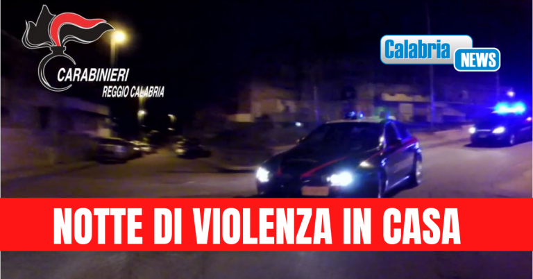 Reggio, accoltella la madre, prende a calci la compagna e colpisce anche la figlia di 7 mesi: arrestato