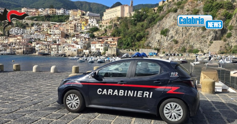 Scilla, 10 kg di cibo sequestrato nei lidi durante controlli dei Carabinieri
