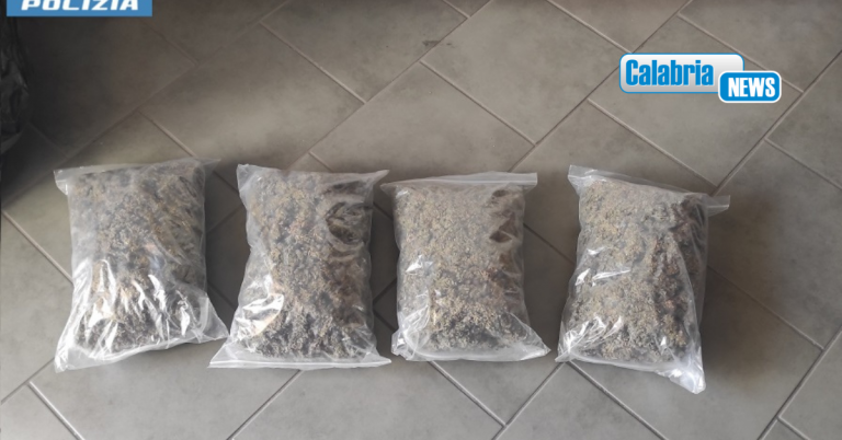 24enne arrestato sull’A2 a Palmi dalla Polizia stradale: trasportava due chili di cannabis