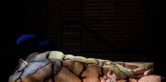 Festival Puccini, soprano cade in scena ma conclude la ‘Manon’ da seduta