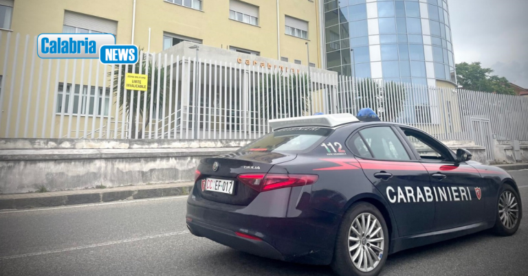 Lamezia, controlli del territorio ad “alto impatto” dei Carabinieri: 5 denunciati