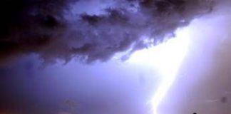 Maltempo, forte temporale sulla Romagna: allagamenti e alberi caduti