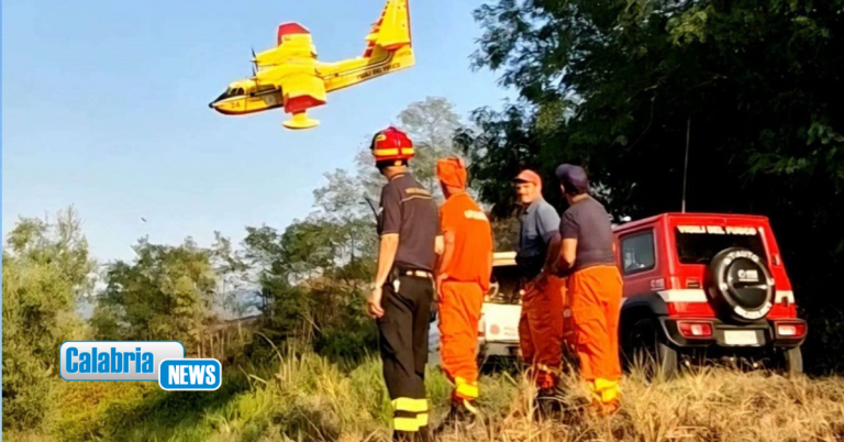 VIDEO-Andati in fumo 20 ettari di bosco a Mileto adiacenti lo svincolo della A2 del Mediterraneo
