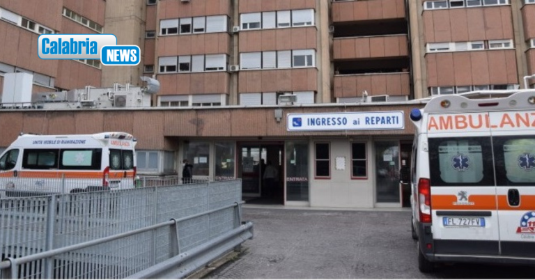 Reggio, morto al GOM un 80enne ricoverato nei giorni scorsi per una encefalite da virus West Nile