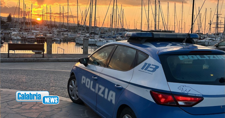 Vibo Valentia, denunciato per maltrattamenti di animali: ha sparato contro un cane