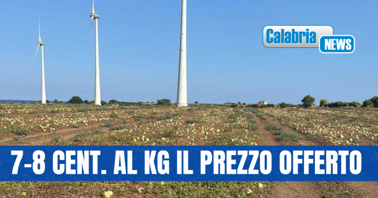 Coldiretti Calabria, angurie frangizollate nel Crotonese: meglio distruggerle che raccoglierle