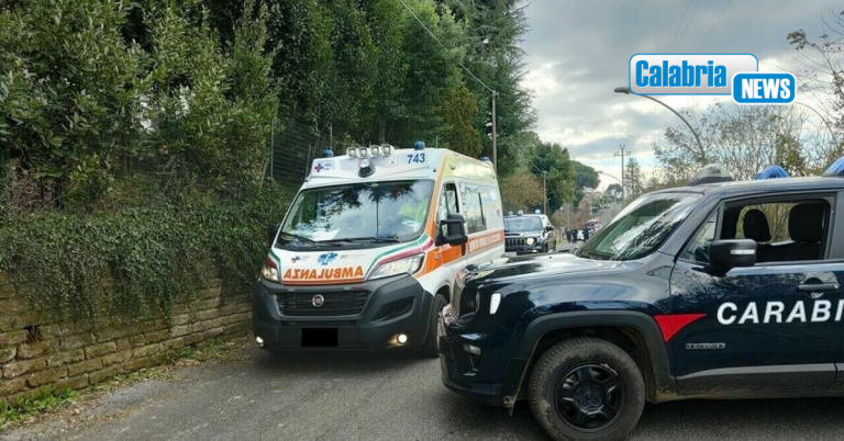 Catanzaro, 47enne muore per uno shock anafilattico dopo puntura di un calabrone