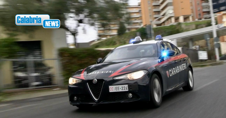 Catanzaro, brucia rifiuti speciali vicino suo deposito aziendale: 52enne denunciato