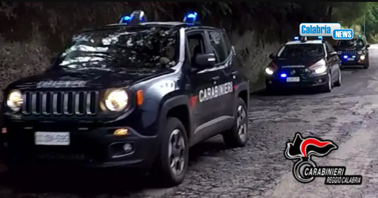Controlli Carabinieri nelle campagne di Palmi: sequestrato un fucile pronto all’uso e varie munizioni