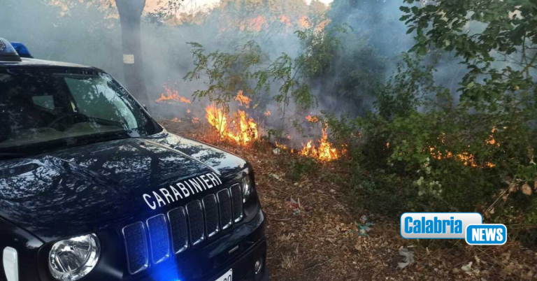 Appicca incendio che devasta bosco e si ustiona alle gambe, arrestato un 77enne nel  Crotonese