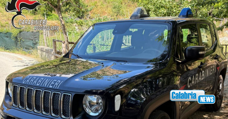 Scoperto dai Carabinieri il “trucco” per rubare energia elettrica a Bagnara e Palmi: due arresti