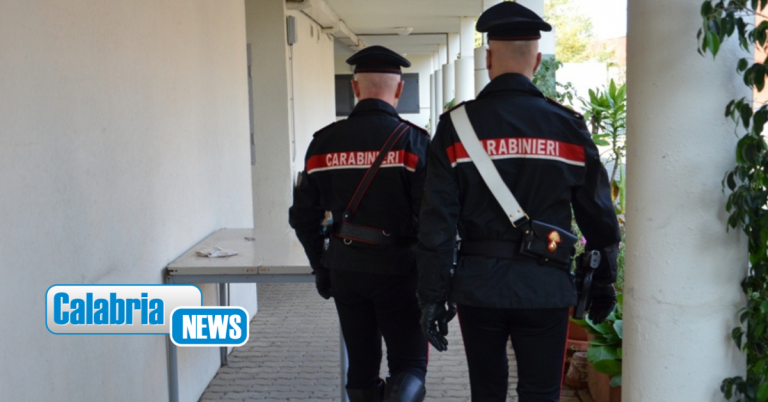 Ritrovati in Romania i due bimbi di 4 e 3 anni scomparsi in Calabria: stanno bene, erano con la nonna