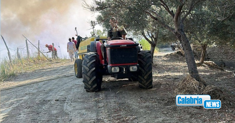 Giovane agricoltore ustionato a Castrovillari per salvare gli animali, solidarietà da Coldiretti Calabria