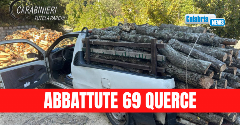 Cotronei, due persone arrestate in flagranza per taglio e furto di oltre 85 quintali di legname