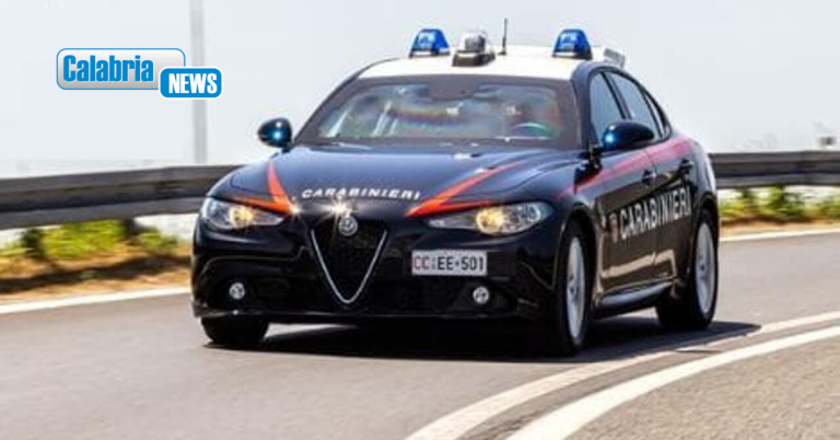 Gioia Tauro, sequestrate oltre 4mila bottiglie di alcolici (valore di 250mila euro): 2 persone denunciate