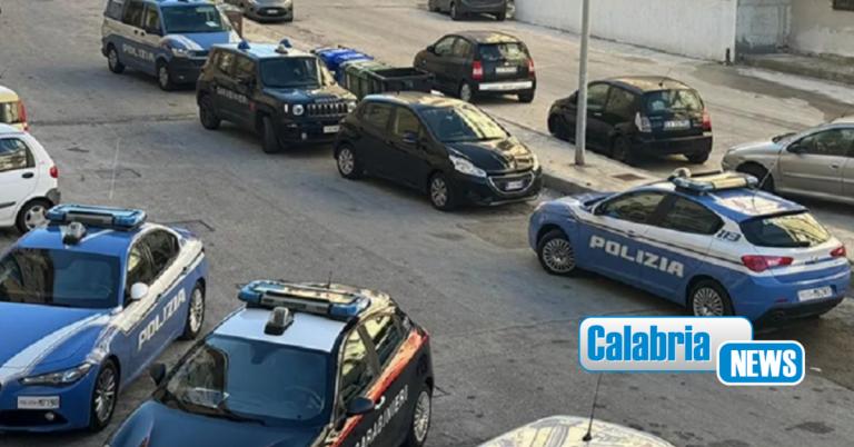 Crotone, operazione interforze “Focus ‘Ndrangheta: elevate sanzioni, denunce e sequestri