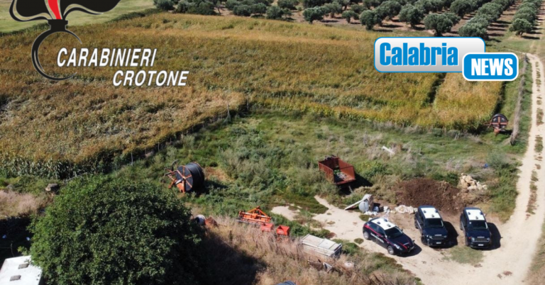 VIDEO-Isola di Capo Rizzuto: coltivava 650 piante di marijuana, 36enne arrestato dai Carabinieri