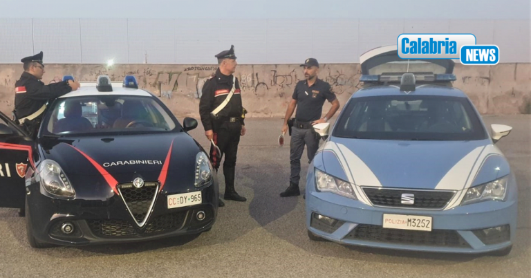 Crotone: Sequestri e sanzioni nell’ambito dell’operazione interforze “focus ‘Ndrangheta”
