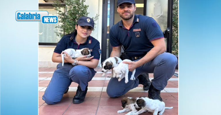 Cuccioli abbandonati in un sacco salvati dagli agenti delle Volanti della Questura di Crotone