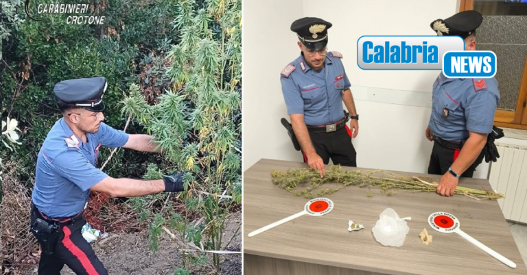 Melissa, 57enne arrestato per spaccio: trovato in possesso di diversi tipi di droga e piante di marijuana