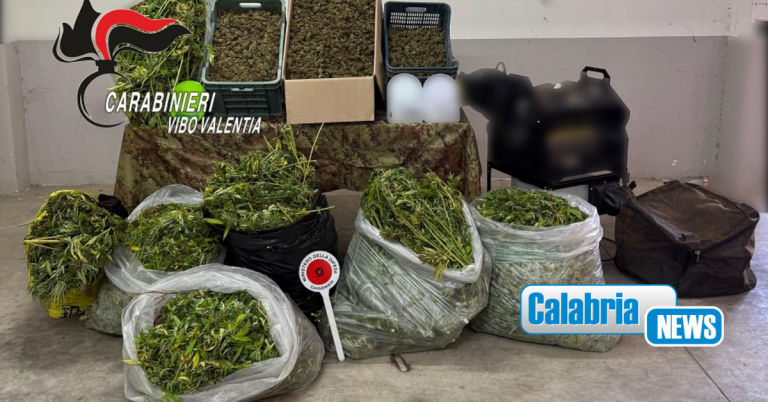 VIDEO-Mileto, scovato laboratorio della marijuana: Carabinieri arrestano due uomini