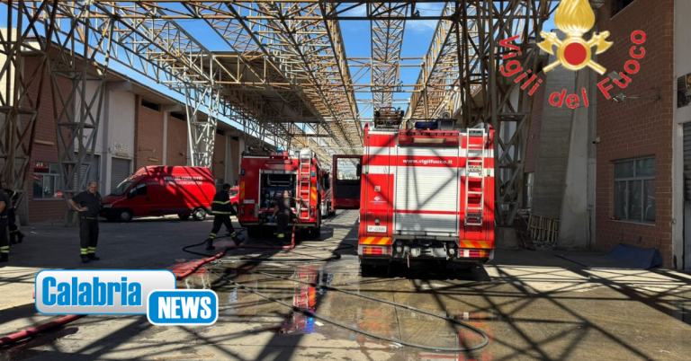VIDEO-Reggio Calabria, incendio nell’area del mercato ortofrutticolo
