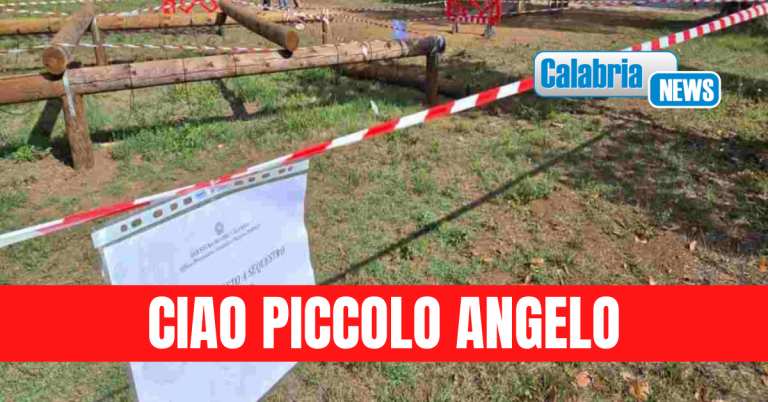 Morto il bimbo di 3 anni rimasto schiacciato da trave in un parco a Vibo: era stato portato a Roma