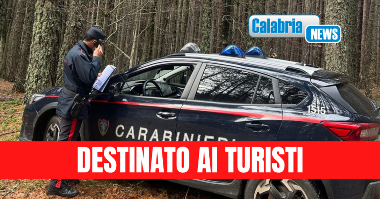 Spezzano della Sila, sequestrato pargheggio abusivo vicino la riserva naturale “i Giganti della Sila”