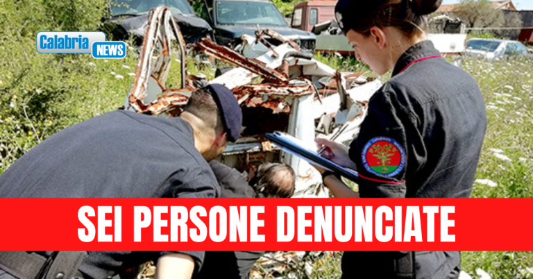 Intensificati i controlli dei Carabinieri contro incendi e reati ambientali in provincia di Catanzaro