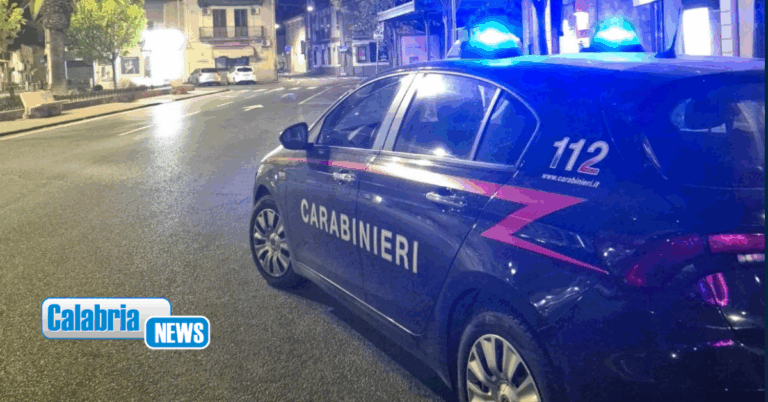 Catanzaro, Carabinieri intensificano i controlli nella zona sud: denunce e sanzioni