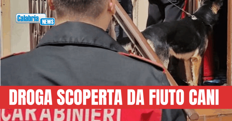 Nacondeva oltre 2 chili di hashish in casa a Schiavonea: arrestato 25enne