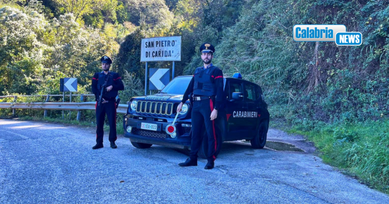 Scoperta piantagione di marijuana in un’area impervia dell’entroterra reggino: Tre arresti