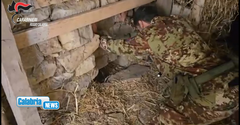 Platì, scoperta piantagione marijuana in un bunker sotterraneo: denunciato un 67enne