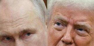 Putin sente Trump, Cremlino: “Russia pronta a tregua con Ucraina per Giorno della vittoria”