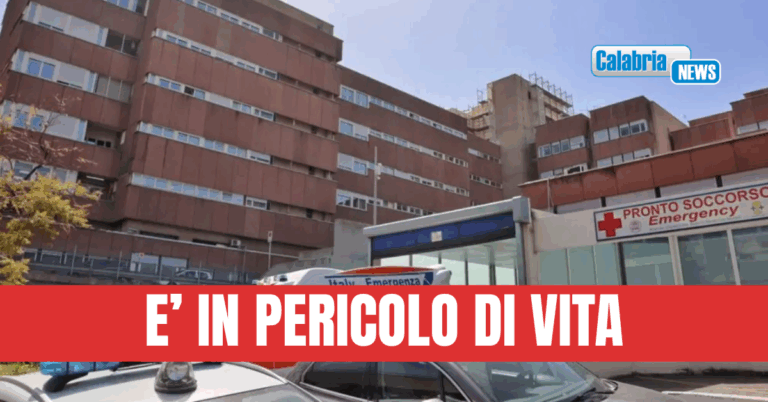 Cerca di aiutare automobilista e viene investita sulla A2: grave dottoressa, ricoverata al GOM