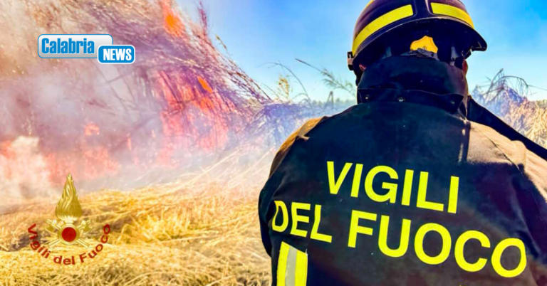 Incendi boschivi, anche nell’ultima settima la Calabria (247) tra le regioni più martoriate